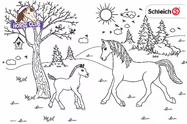 Schleich Horse Club Colouring Sheet